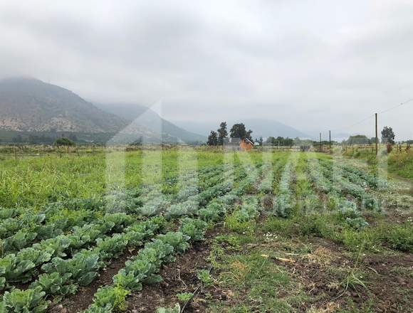 SE VENDE TERRENO EN SECTOR LA PEÑA, NOGALES