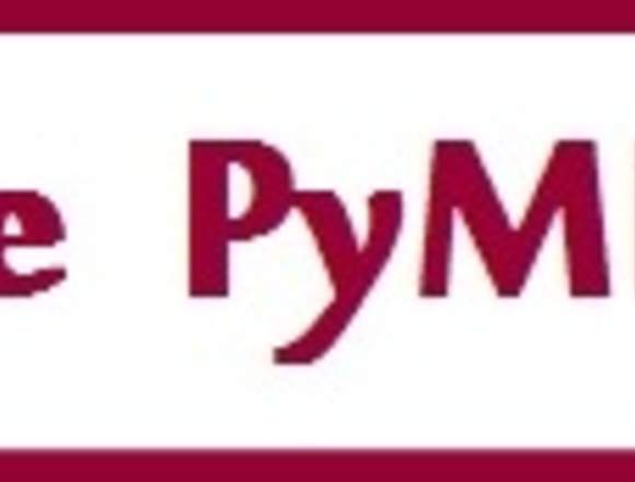 LE PYME - ASESORIA Y GESTION