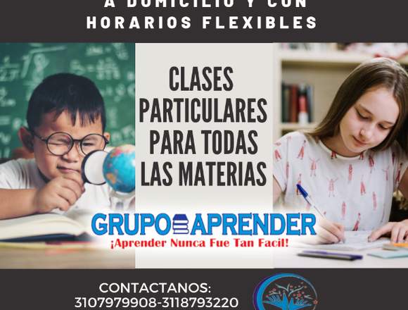  PROFESORES A DOMICILIO, CLASES PERSONALIZADAS.