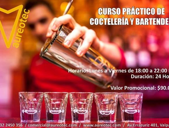 Curso Práctico de Coctelería y Bartender