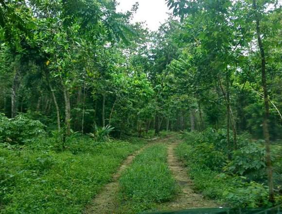 Terreno en venta en Puerto Morelos. 