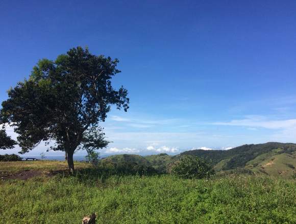 Terrenos Con Vistas increíbles precio de Preventa 