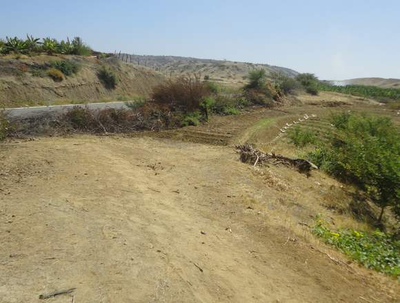 VENTA DE TERRENO AGRICOLA TITULADO