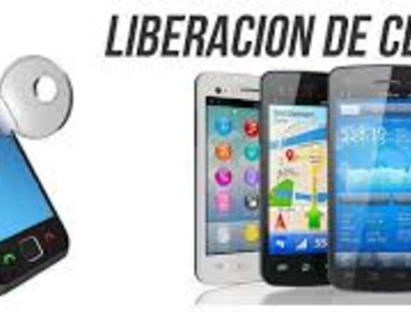 actualizacion y reparacion de software tlf