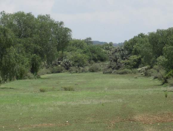 TERRENO 8.2 HECTAREAS