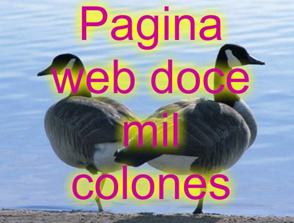 pagina web doce mil colones