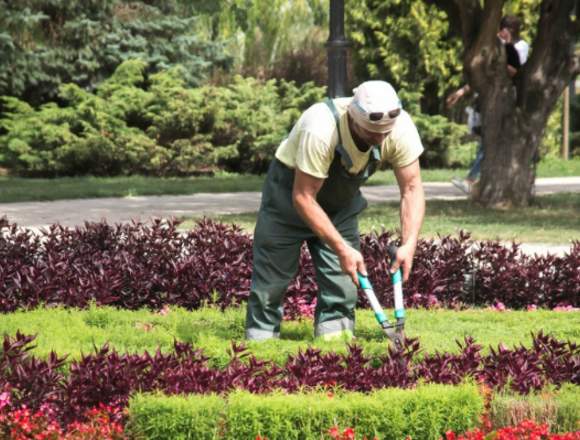 Seguro de furgoneta para jardineros