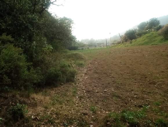 TERRENO CAMPIRANO A 40 MINUTOS DE LA CDMX