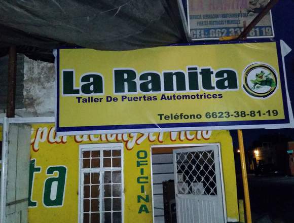 La Ranita auto puerta 6623-38-81-19