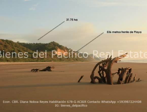 Venta Terreno 31.75ha Frente Al Mar Ruta Spondylus