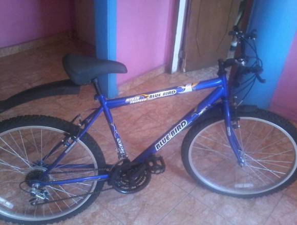 Bicicleta Blue Bird Mtb26 Rin 26 