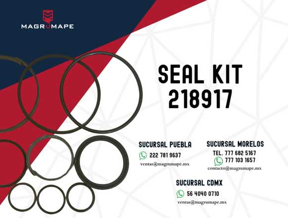 SEAL KIT 218917 EN MÉXICO