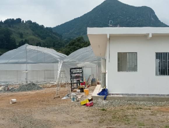 Construcción invernaderos cannabis medicinal