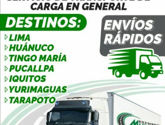 TRANSPORTE DE CARGA, ENCOMIENDAS Y MUDANZA