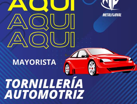 TORNILLOS AUTOMOTRICES AL MAYOR