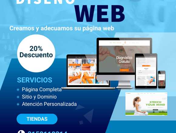 DISEÑAMOS SU WEB PROFESIONALES ESPECIALISTAS