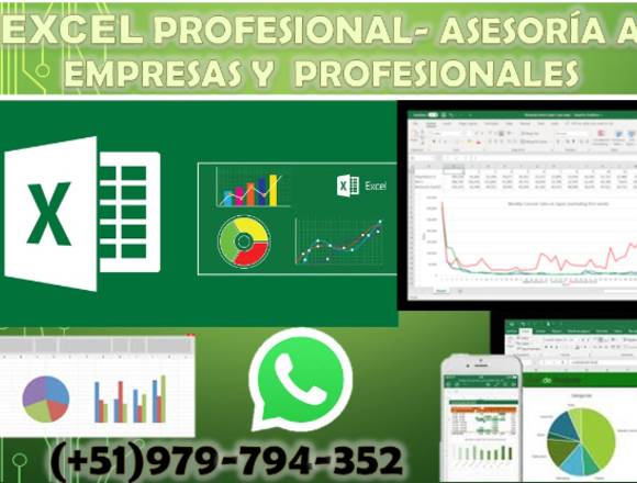 Asesoría en excel avanzado para empresas 