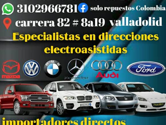 Direcciones Electroasistidas