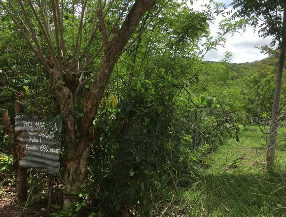 Terreno titulado en Las Tablas Abajo