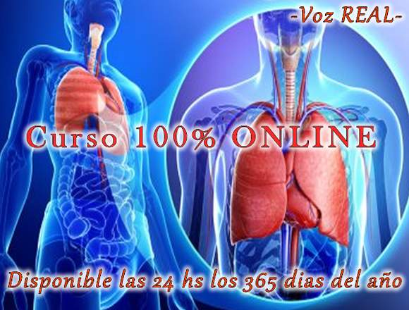 Curso Virtual de Enfermedades Respiratorias