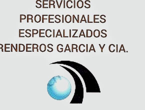 Servicios Profesionales Especializados 