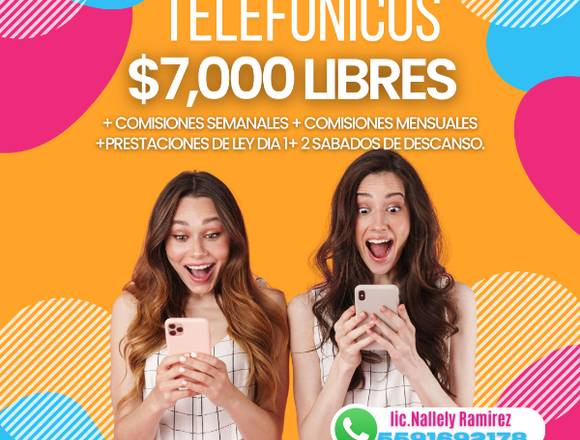 ejecutivo telefonico