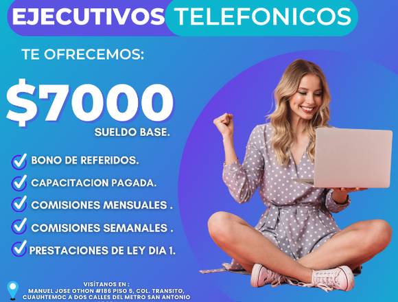 Ejecutivo telefonico