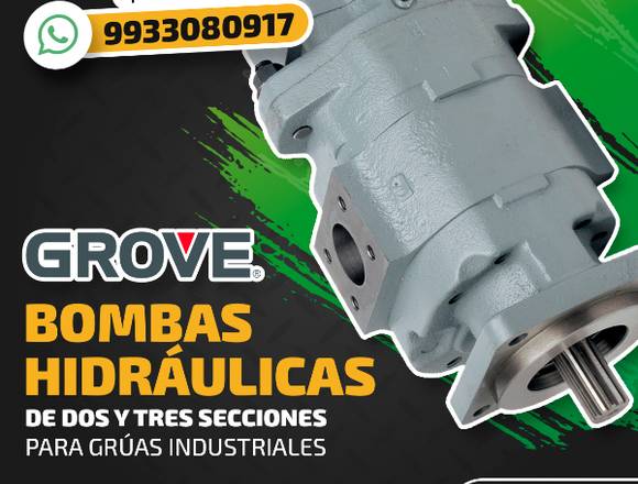 BOMBAS HIDRÁULICAS PARA GRÚAS INDUSTRIALES GROVE