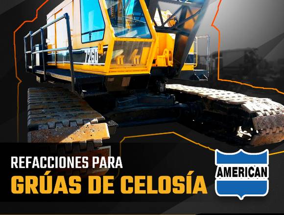 REFACCIONES PARA GRÚAS DE CELOSIA TEREX AMERICAN