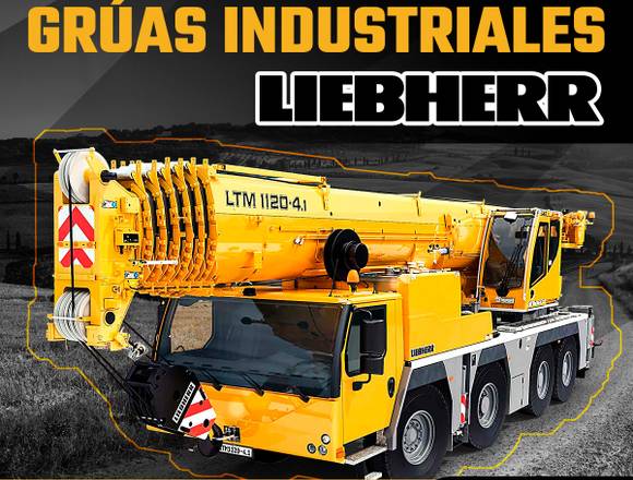 REFACCIONES PARA GRÚAS INDUSTRIALES LIEBHERR