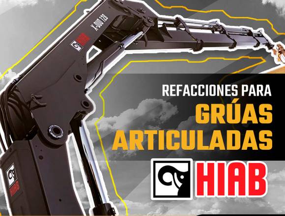 REFACCIONES PARA GRÚAS ARTICULADAS HIAB