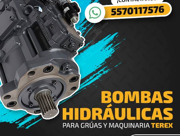 BOMBAS HIDRÁULICAS PARA GRÚAS INDUSTRIALES TEREX