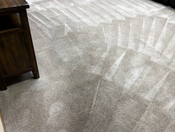 Carpet cleaning services