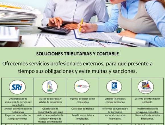 SERVICIOS PROFESIONALES EXTERNOS