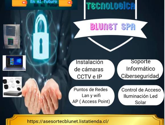 Seguridad -Vigilancia y Ciberseguridad 