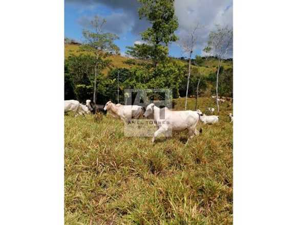 Se vende terreno en Darién, Panamá