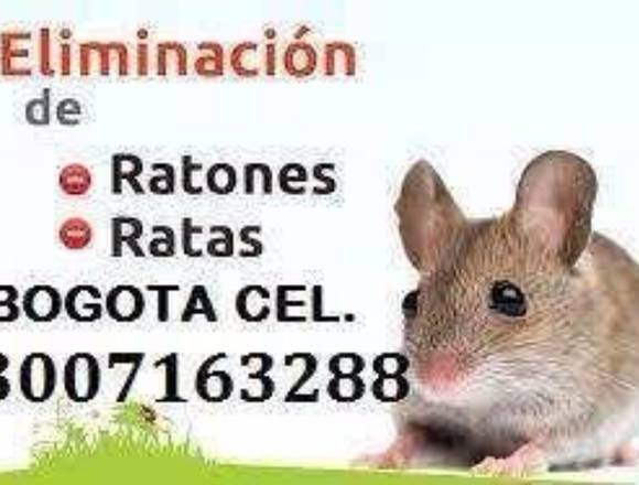 Ratas Ratones Roedores Cebos Control 3007163288