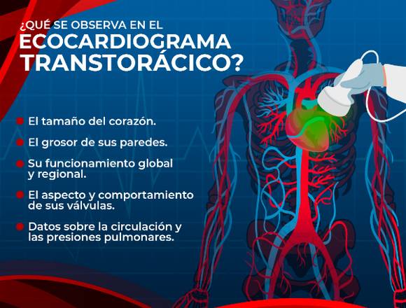 Ecocardiograma transtorácico