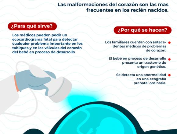 ¿Quieres el mejor ecocardiograma fetal?