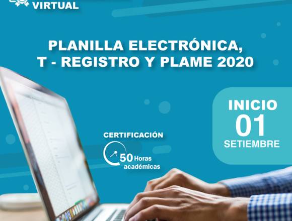 ONLINE PLANILLA ELECTRÓNICA , T- REGISTRO Y PLAME