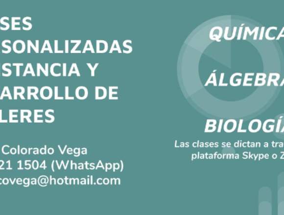 Clases Personalizadas y Realización de Talleres