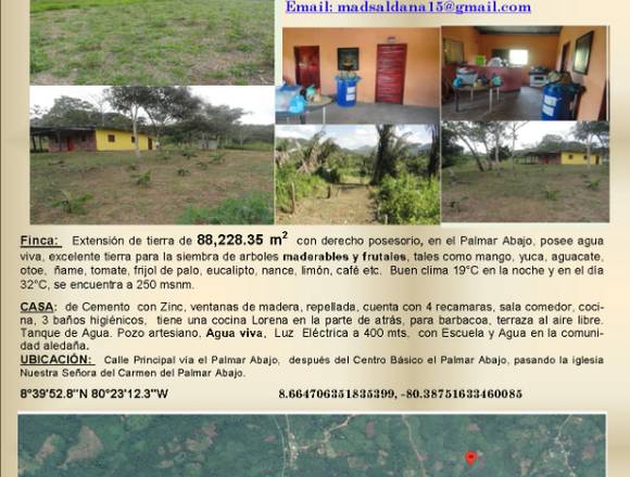 Venta de Finca  El Palmar Abajo, La Pintada 