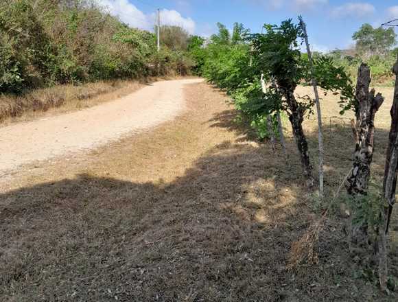 Si, el terreno está titulado 