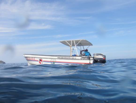 Venta De Embarcación Reef Chaser (NOINCLUYEMOTORES