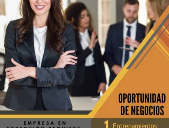 Representante de Ventas