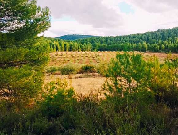  Vendo terreno con casa 