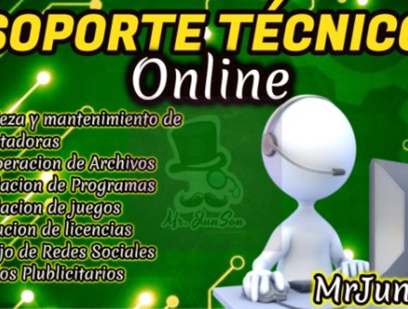 Soporte Tecnico Online 