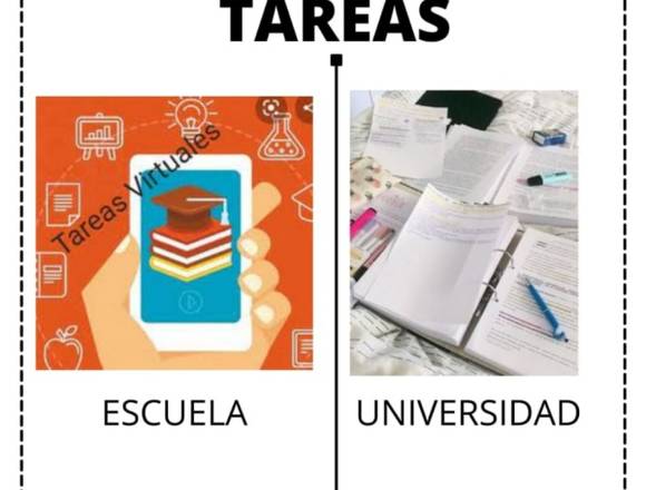 Tareas de matemáticas, física, química, etc.