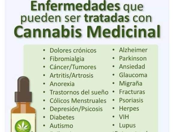 Mejora Tú Salud con Aceite CBD/CBG593 