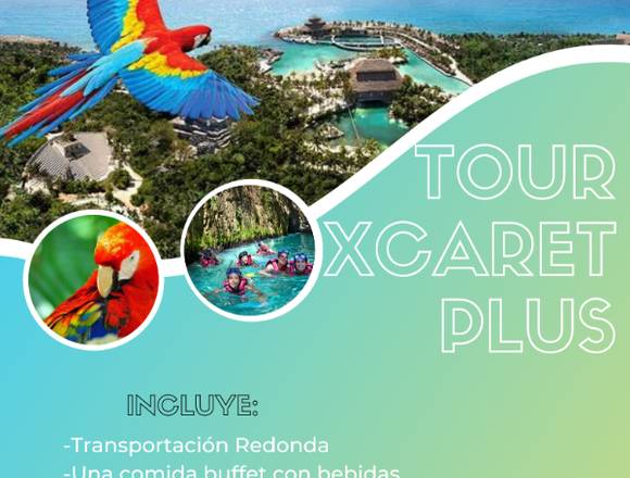 AGENCIA DE VIAJES EN LA RIVIERA MAYA